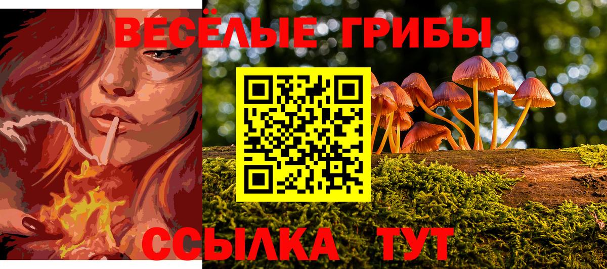 Псилоцибиновые грибы прущие грибы Качканар
