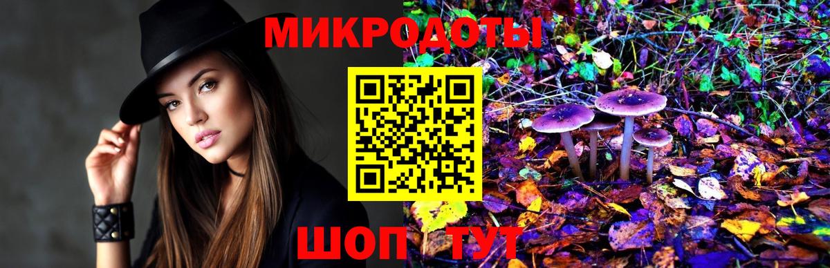 Галлюциногенные грибы GOLDEN TEACHER  наркотики  Качканар  Вход с VPN 